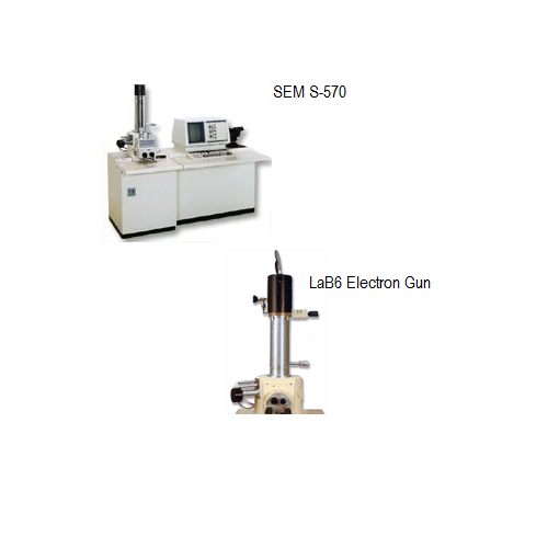  FE-SEM S-570